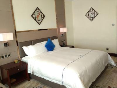 شنزهن لنگانگ جون یی هتل