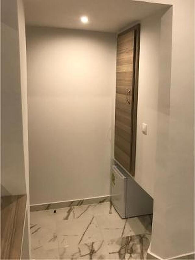 رکس