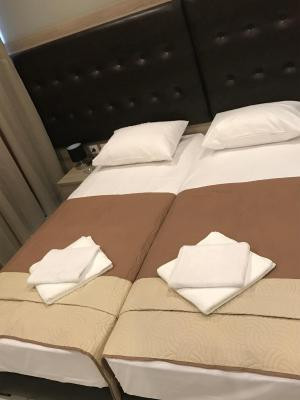 رکس