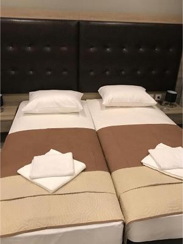 رکس