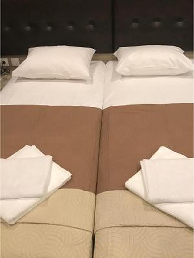 رکس