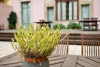 اُنیکس رامبلا