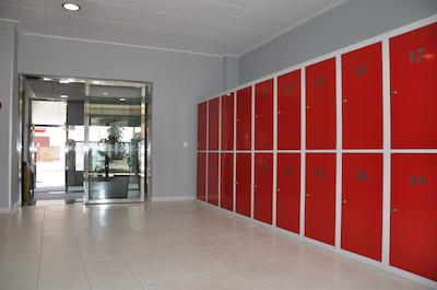 اپاردتل سافاری