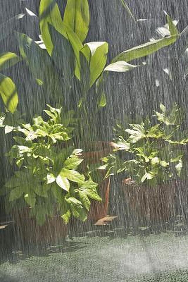 کاسا کمپر