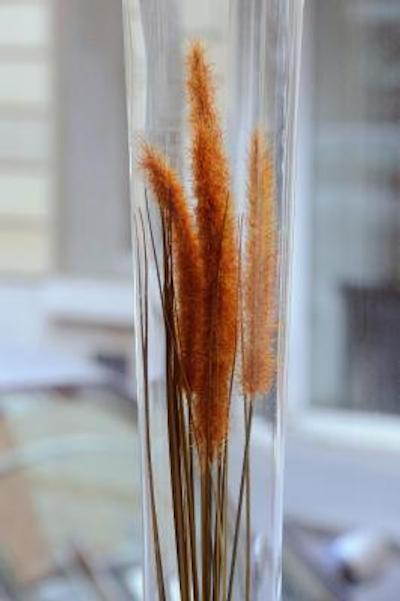 اوریان پورت د ورسای