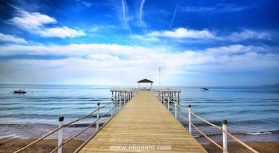 لارا فامیلی کلاب