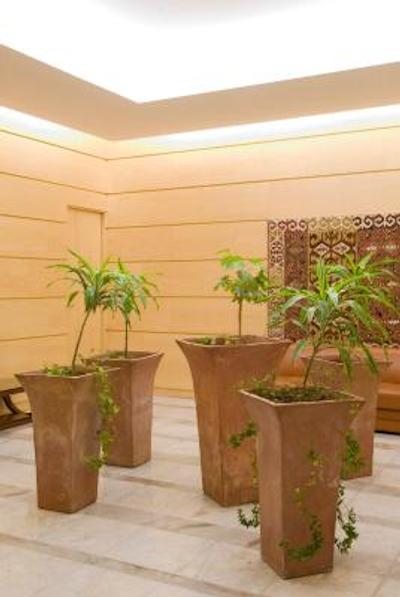 گرند هتل دو هاور