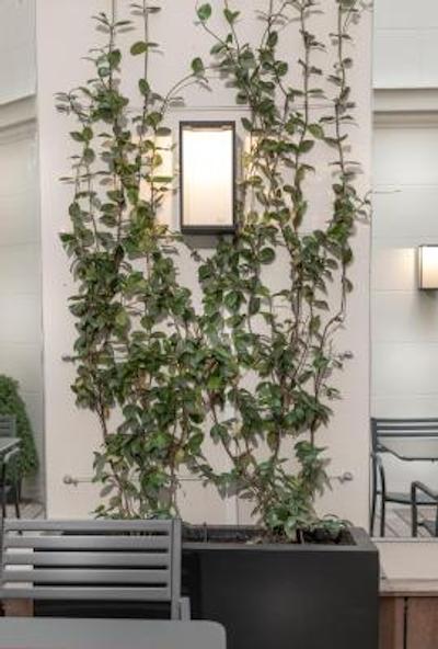 الیزه سرامیک