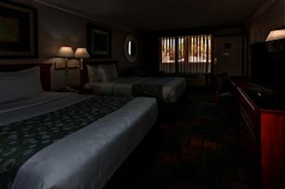 کوالیتی این ات اینترنیشنال دریو