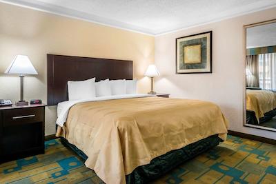 کوالیتی این ات اینترنیشنال دریو