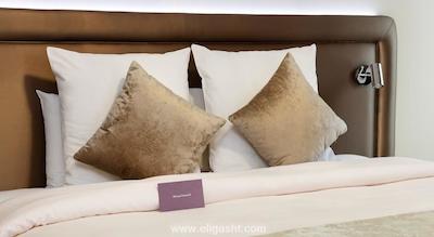 مرکور پلیس دیتالی