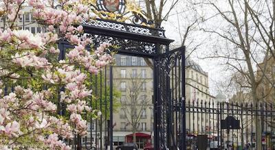 مرکور پلیس دیتالی