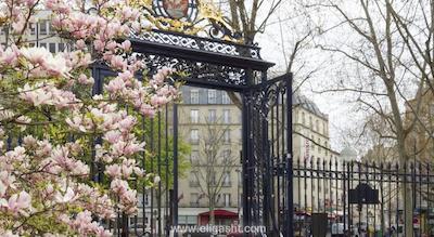 مرکور پلیس دیتالی