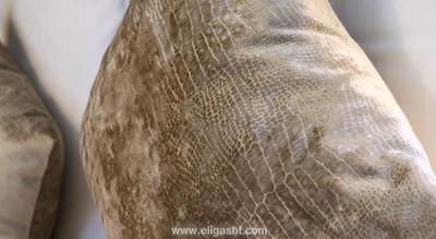 مرکور پلیس دیتالی