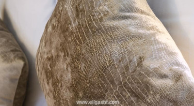 مرکور پلیس دیتالی