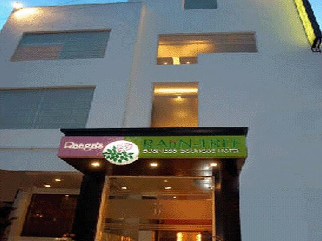 ریین تری