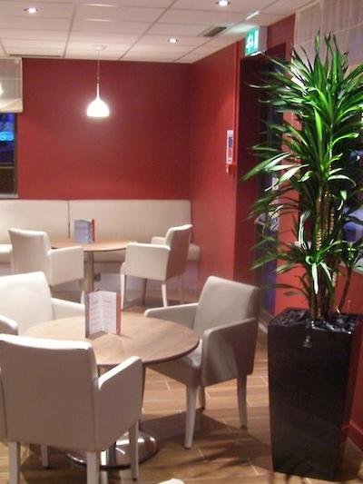 کمپانیل اسویندن