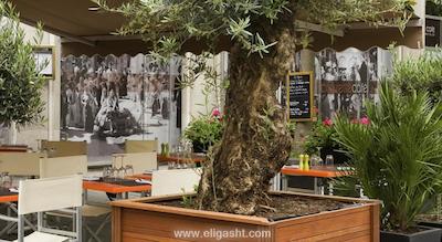 مرکور پاریس پورت د اس تی کلود