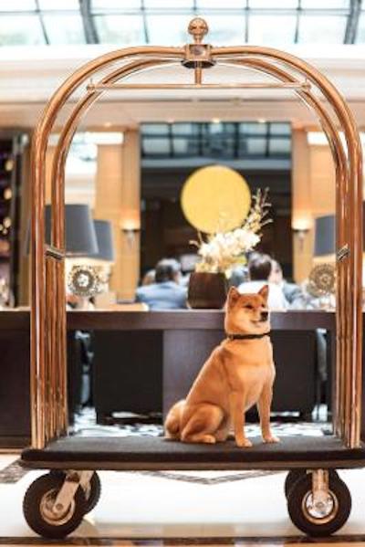 حیات پاریس مادلین