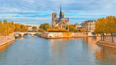 حیات پاریس مادلین