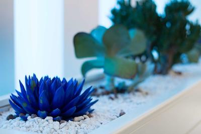 بست وسترن پلاس گراند هتل ویکتر هوگو