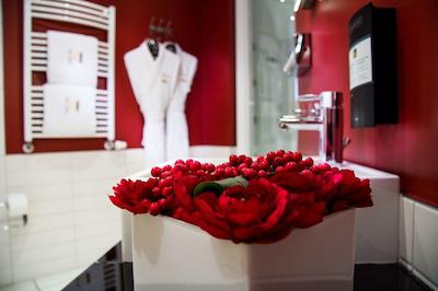 بست وسترن پلاس گراند هتل ویکتر هوگو