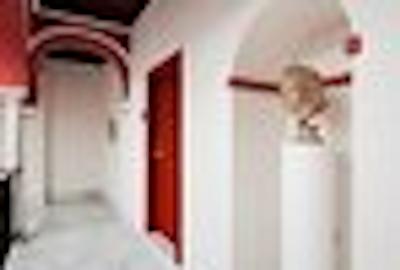 لاز کاساز د لز مرکادرز بای سیلکن