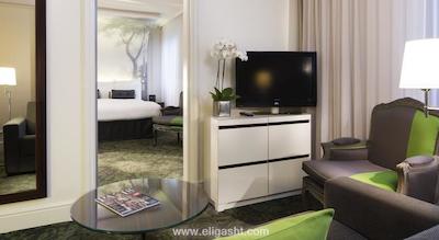 رنسانس پاریس له پارک تروکادرو