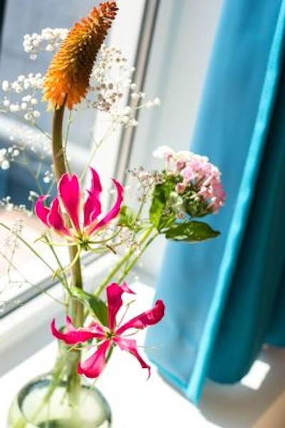 اسپارکز هستل