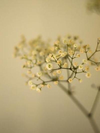 اسپارکز هستل