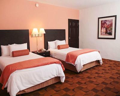 کوالیتی این نووو لاردو