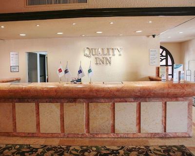 کوالیتی این نووو لاردو