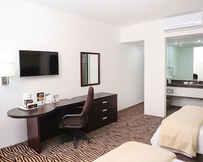 کوالیتی این نووو لاردو