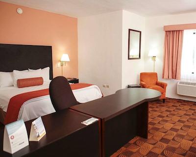 کوالیتی این نووو لاردو