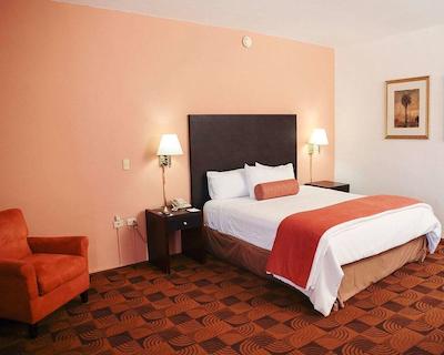 کوالیتی این نووو لاردو