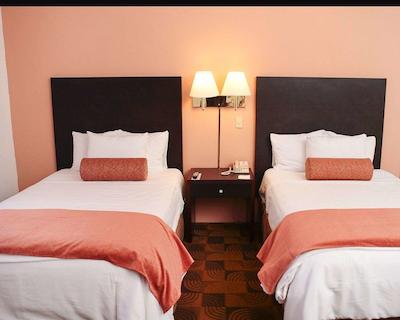 کوالیتی این نووو لاردو