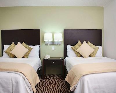 کوالیتی این نووو لاردو