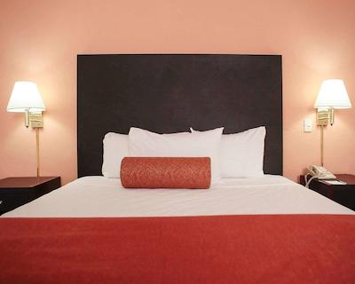 کوالیتی این نووو لاردو