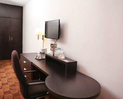 کوالیتی این نووو لاردو