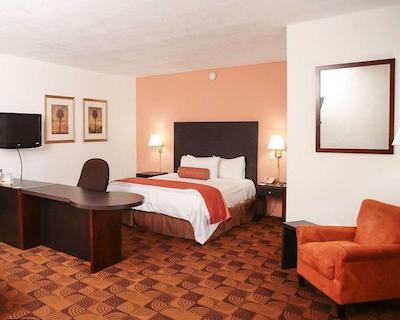 کوالیتی این نووو لاردو