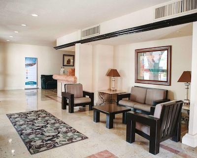 کوالیتی این نووو لاردو