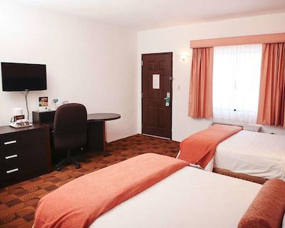 کوالیتی این نووو لاردو