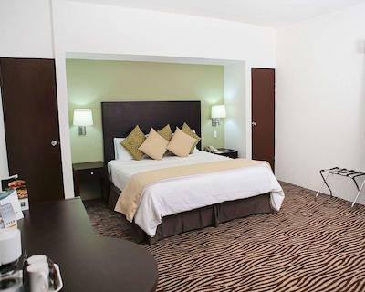 کوالیتی این نووو لاردو