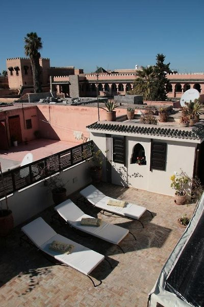 ریاد دیانا