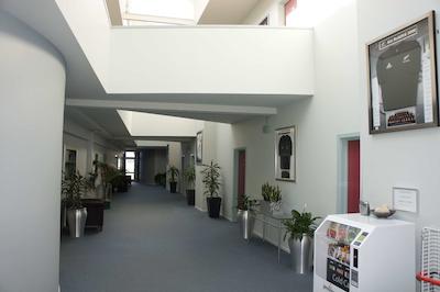 بست وسترن ولینگتون