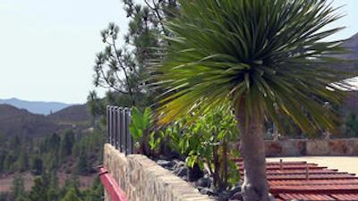 لاز تیراجاناز