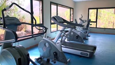 لاز تیراجاناز