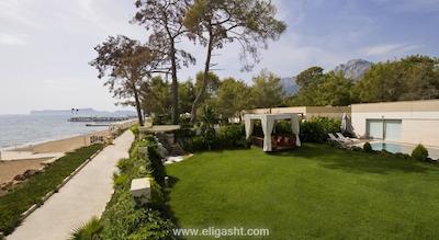 ووج آوانگارد کمر