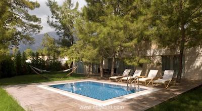 ووج آوانگارد کمر