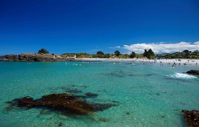 بست وسترن دوندین